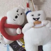 ニコの画像
