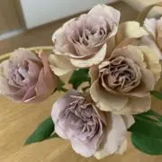 586☺︎の画像