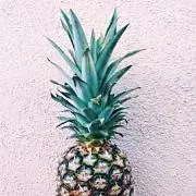 ......☆の画像