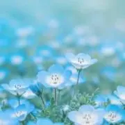 miki❁⃘*.゜の画像