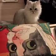 cocoの画像