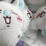 えびの画像