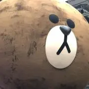 きむ☆
