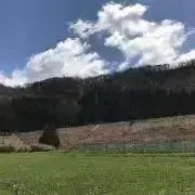 カチカチ山の画像