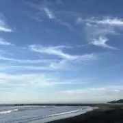 mintoの画像
