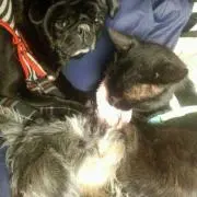 りょう