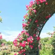 jasmine プロフ必読、値引き不可の画像