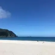 とまとんの画像