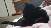 もりやまの画像