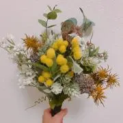 みのるの画像