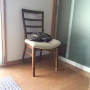 こめかみ