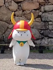 にゃんこの画像