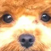 あきやん