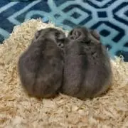 まりまり(^3^)/