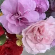 ７パン⭐︎の画像
