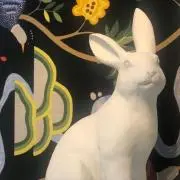 yuki