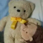 Tの画像