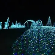 たかの画像