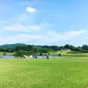 リサの画像