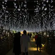 ke-japanの画像