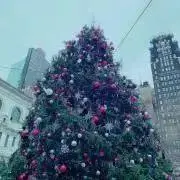 KTの画像