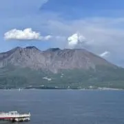 たかの画像