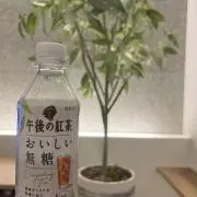 mini22 ✨の画像