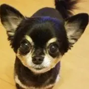 なっちゃんの画像