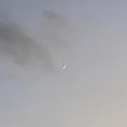 たけ/たけの画像