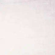 白の画像