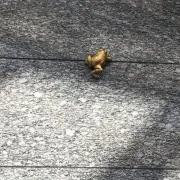 まるく