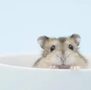 ^^
