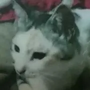 ♡MARIE♡プロフ必読