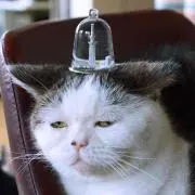 のりすけ