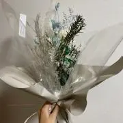 コユキの画像