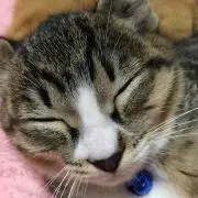 くみ