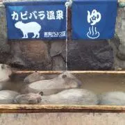 ジェイ