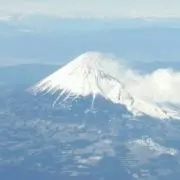ゆきんこの画像