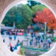 AYの画像