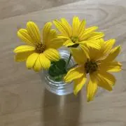 753の画像