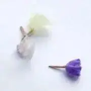 MOの画像