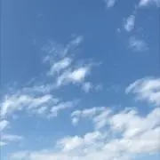 紅葉の画像