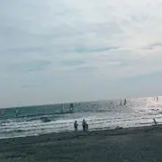 ランベンダー