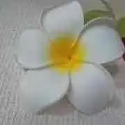 ♡ミニー♡の画像