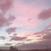 23.23.23.の画像