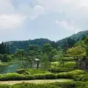 ニット