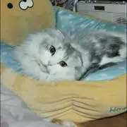 八神勇作