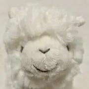 ありすの画像