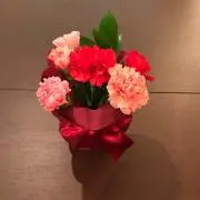 こちままの画像