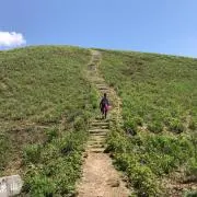 narachanの画像
